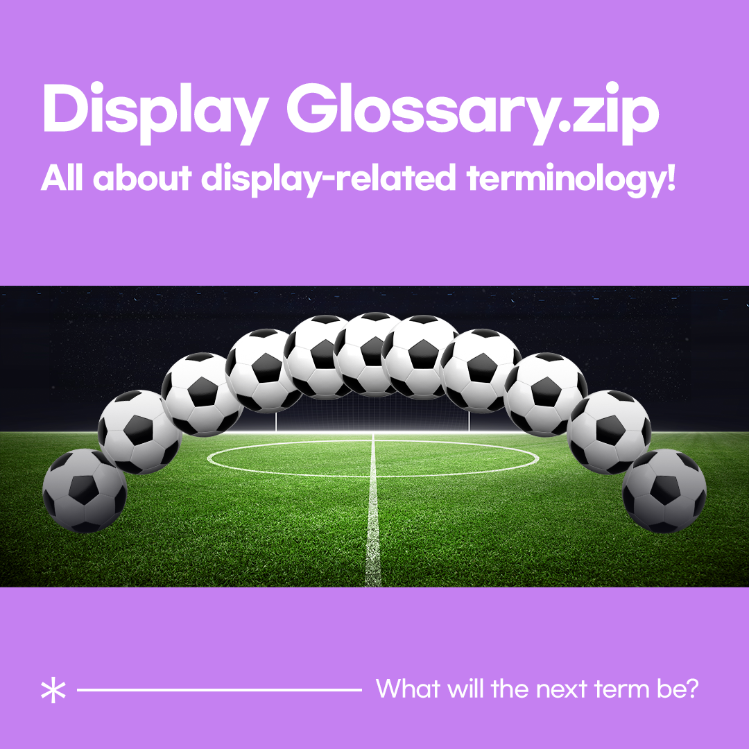 Display Glossary.zip