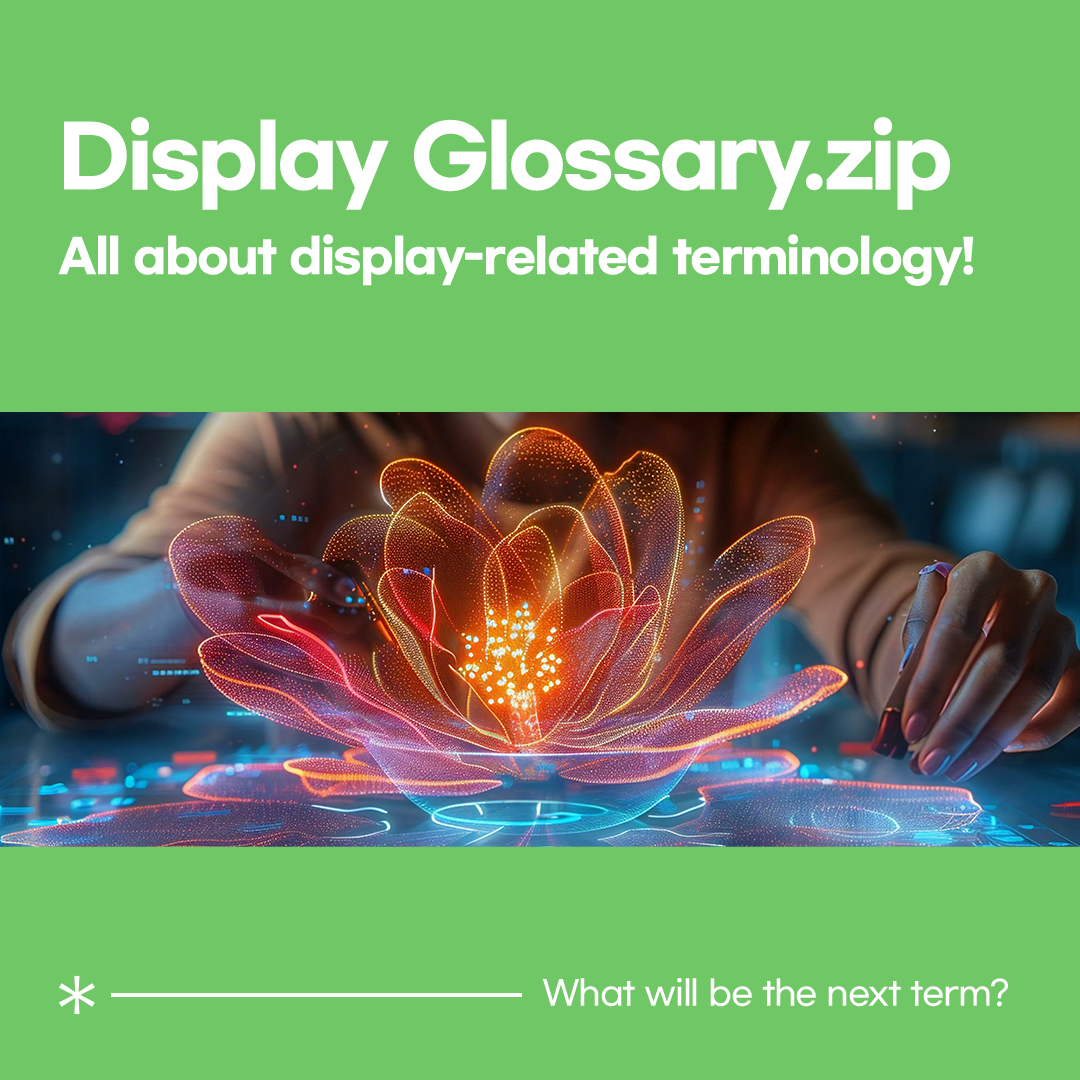 [Display Glossary.zip] EP.26 : Light Field