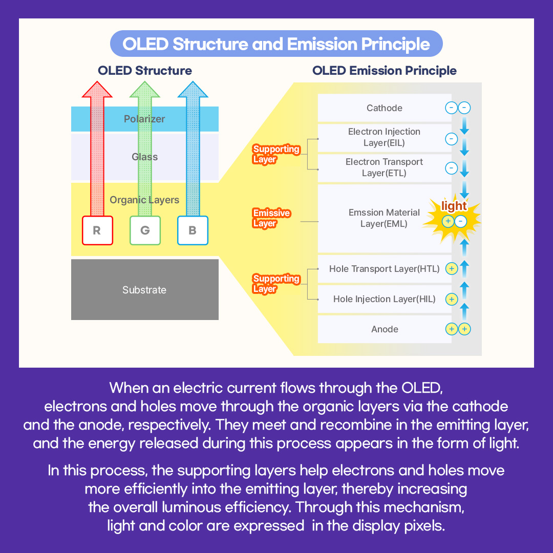 OLED is a self-emissive display that generates its own light. It is composed of a substrate, TFTs, organic layers, and a window.  Among these, the organic layers consist of thin films of organic compounds deposited onto the LTPS substrate through a deposition process. They play a key role in emitting light and color on the display screen. The layers are generally divided into the emitting layer, which generates light, and the supporting layers, which support the emission.  When an electric current flows through the OLED, electrons and holes move through the organic layers via the cathode and the anode, respectively. They meet and recombine in the emitting layer, and the energy released during this process appears in the form of light.  In this process, the supporting layers help electrons and holes move more efficiently into the emitting layer, thereby increasing the overall luminous efficiency. Through this mechanism, light and color are expressed  in the display pixels.