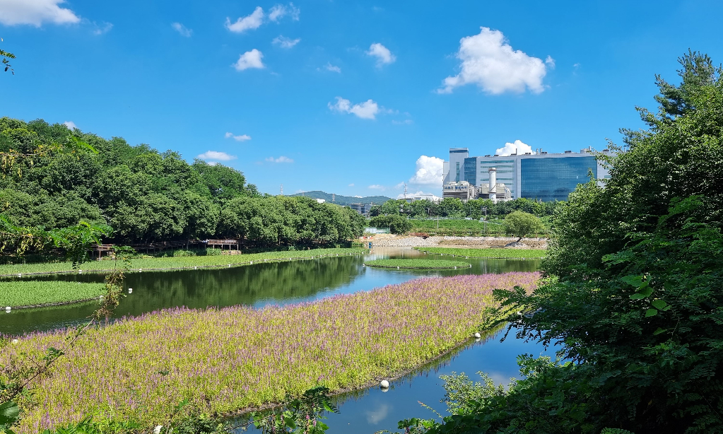 Samsung Display Announces Environmental Strategy to Achieve Net Zero Emissions by 2050