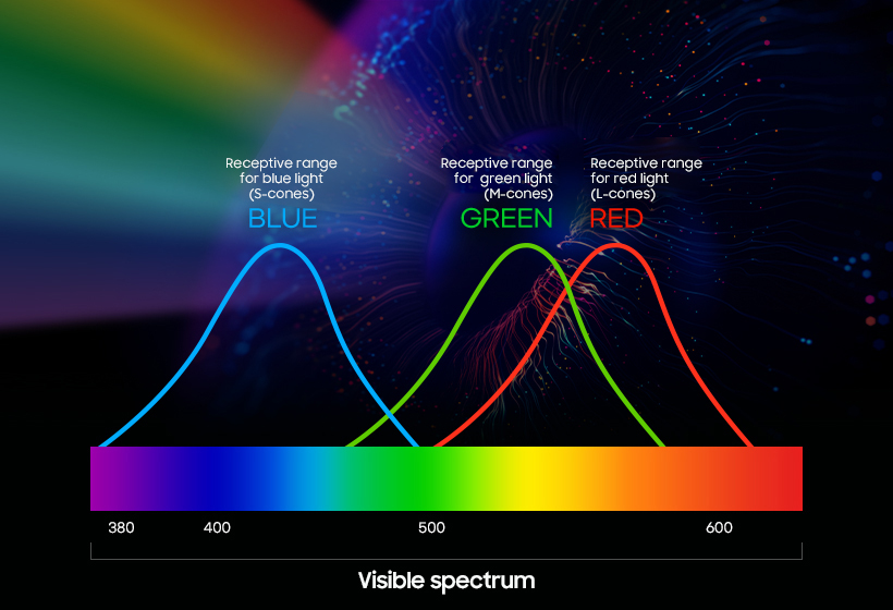 The Evolution of Displays, Recreating Human Perception